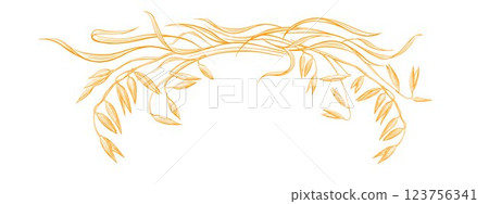 Oats plant, art grain. Vector texture symbol Wheat Oats plant, art grain. Vector texture symbol Wheat 123756341