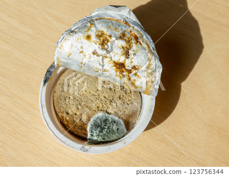 Close-up of spoiled pate with visible mold inside an opened plastic container. Food spoilage, expiration, and contamination concept, with bacterial growth and mold spots Close-up of spoiled pate with visible mold inside an opened plastic container. Food spoilage, expiration, and contamination concept, with bacterial growth and mold spots 123756344