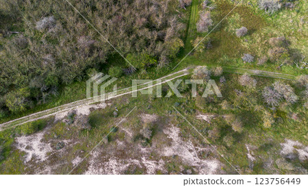 Aerial view of a grassy landscape with intersecting dirt paths, surrounded by scattered trees and open green fields, capturing a tranquil Aerial view of a grassy landscape with intersecting dirt paths, surrounded by scattered trees and open green fields, capturing a tranquil 123756449