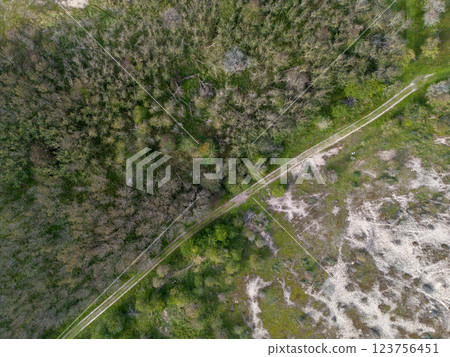 Aerial view of a grassy landscape with intersecting dirt paths, surrounded by scattered trees and open green fields, capturing a tranquil Aerial view of a grassy landscape with intersecting dirt paths, surrounded by scattered trees and open green fields, capturing a tranquil 123756451