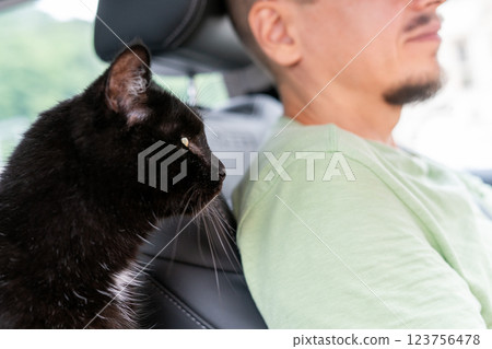 black cat sitting attentively in passenger seat of car, gazing forward with focused expression, near is man in drivers seat, moment of companionship and travel, bond between humans and pets adventure black cat sitting attentively in passenger seat of car, gazing forward with focused expression, near is man in drivers seat, moment of companionship and travel, bond between humans and pets adventure 123756478