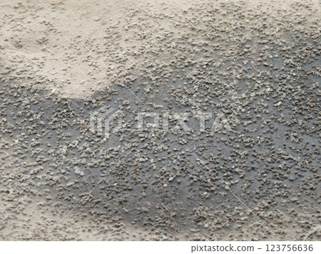 gray, dirty piece of roofing felt with crumbs and dust as abstract rough dark background, fragment of old dilapidated roof covering with traces of environmental impact gray, dirty piece of roofing felt with crumbs and dust as abstract rough dark background, fragment of old dilapidated roof covering with traces of environmental impact 123756636