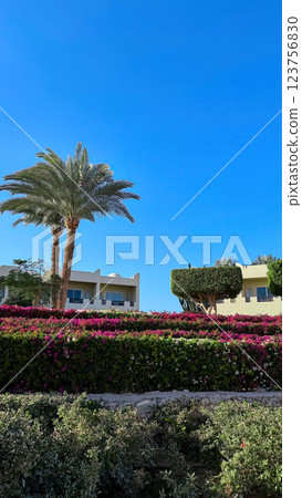 Tropical resort view with palm trees, flowers, and building Tropical resort view with palm trees, flowers, and building 123756830