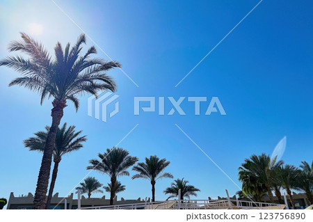 Beautiful view of resort town of Sharm El Sheikh 123756890