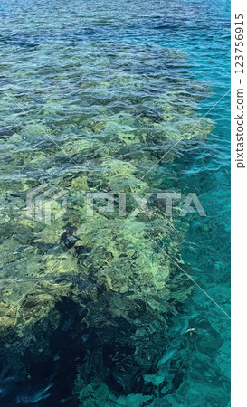 Water sea surface with coral reefs background 123756915