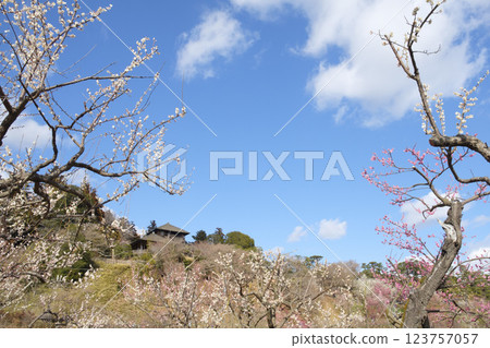 Kairakuen Garden, plum grove and Kobuntei 123757057
