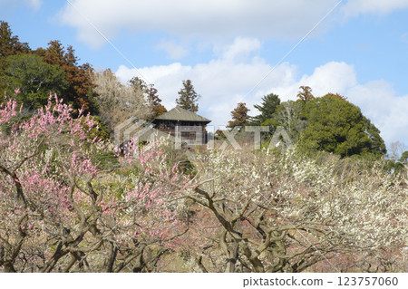偕樂園、梅林和好文亭 偕樂園、梅林和好文亭 123757060