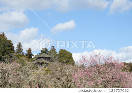 Kairakuen Garden, plum grove and Kobuntei 123757062