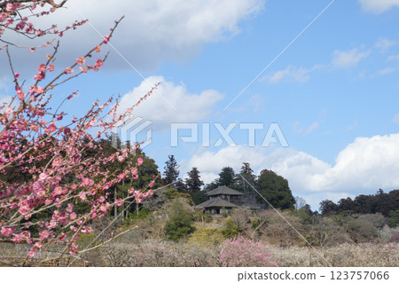 Kairakuen Garden, plum grove and Kobuntei 123757066