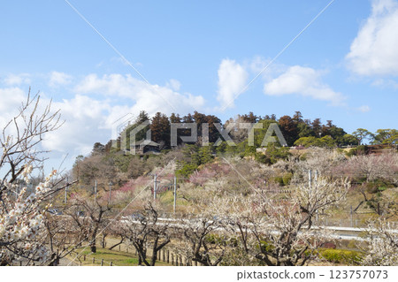 偕樂園、梅林和好文亭 123757073