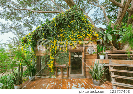 Wood house with yellow flower Wood house with yellow flower 123757408