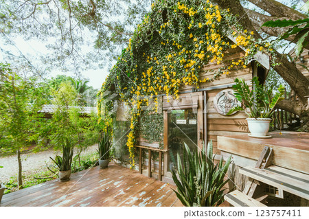 Wood house with yellow flower Wood house with yellow flower 123757411