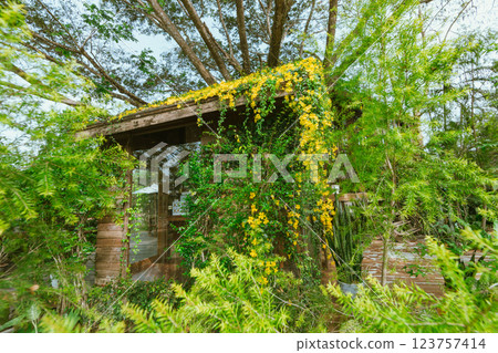 Wood house with yellow flower Wood house with yellow flower 123757414