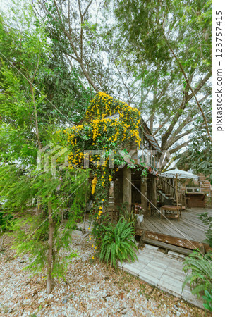 Wood house with yellow flower 123757415