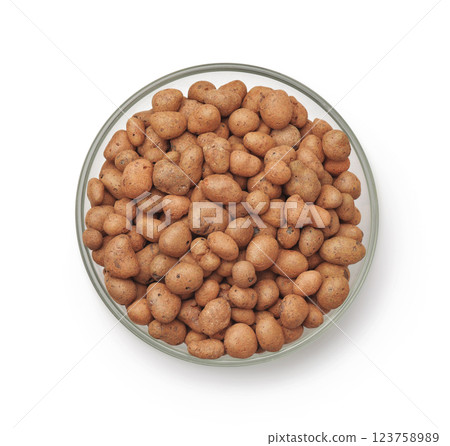 Expanded lightweight clay pebbles in glass bowl 123758989