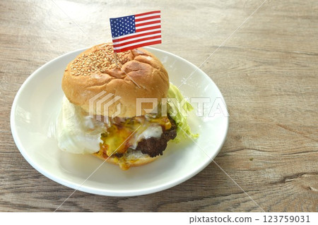 fried mashed beef cheese hamburger and lettuce stuffed mayonnaise sauce with ketchup on plate fried mashed beef cheese hamburger and lettuce stuffed mayonnaise sauce with ketchup on plate 123759031