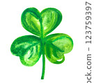 Green watercolor shamrock, Irish three leaf clover, an isolated design element 123759397