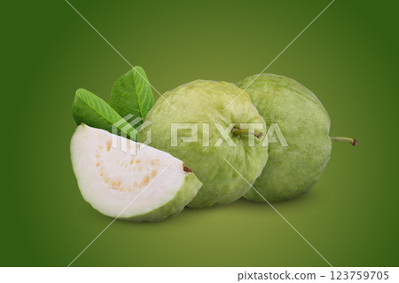 Guava fruit and leaves on a green background 123759705
