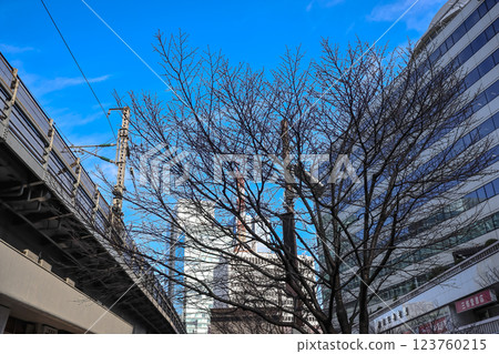 Office Buildings Along A Tree Lined Street, Yurakucho Dec 5 2024 123760215