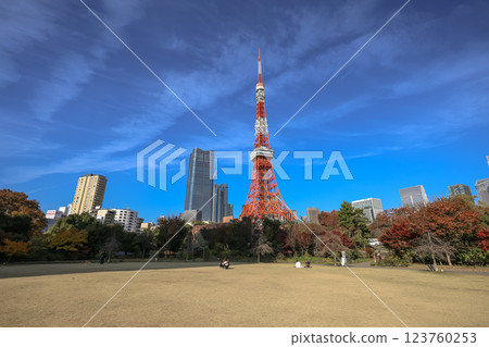 Tokyo Tower Seen From A Park Dec 5 2024 123760253