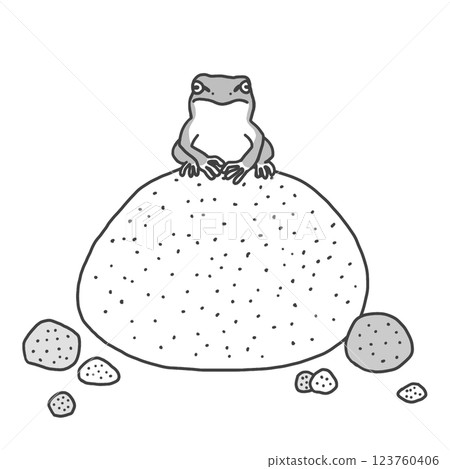Frog sitting on a stone 123760406