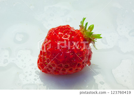 Strawberry Strawberry 123760419