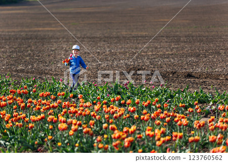 Cute little kid boy picking fresh blooming tulips flowers at self-service dutch agricultural field on sunny spring day. Happy child holding blossoming plants gift for moms day present 123760562