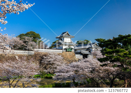 [Ishikawa Prefecture] Sakura in Kanazawa Castle 123760772