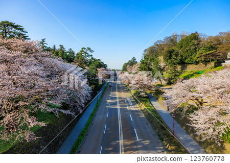 [石川縣]金澤城護城河沿岸的櫻花 123760778