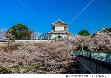 [Ishikawa Prefecture] Sakura in Kanazawa Castle 123760779