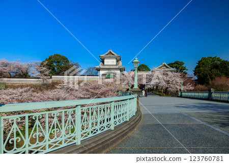 [石川縣]金澤城的櫻花 123760781