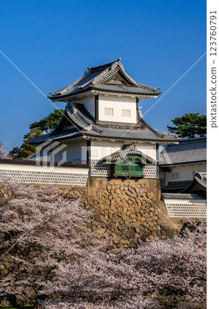 [石川縣]金澤城的櫻花（豎著照） 123760791