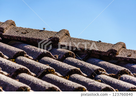 Tiles roof, house detail 123760840
