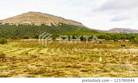 Sad Hill Cemetery in Spain. Tourist place 123760844