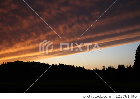 Clouds dyed in sunset 123761490