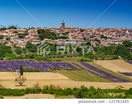 Hilltop Puimoisson village, Provence France 123761885