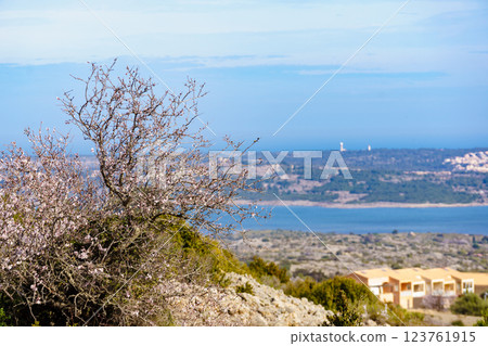 Landscape of pond Leucate, Occitanie region, France Landscape of pond Leucate, Occitanie region, France 123761915