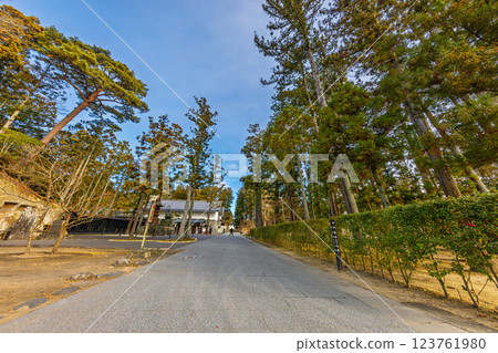 瑞源寺與深秋的參拜道路（宮城縣宮城郡松島町） 123761980