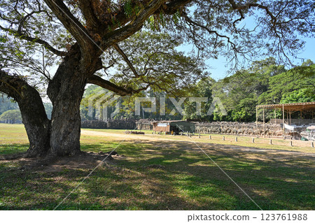 吳哥城,戰像台和麻風王臺,吳哥考古公園,柬埔寨 吳哥城,戰像台和麻風王臺,吳哥考古公園,柬埔寨 123761988