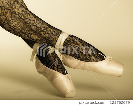 Female legs dancer in ballet shoes 123762079