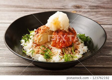 Tofu hamburger bowl 123762192