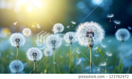 Beautiful puffy dandelion and flying seeds against blue sky on sunny day. Beautiful puffy dandelion and flying seeds against blue sky on sunny day. 123762972