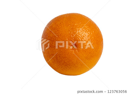 Fresh juicy orange isolated without shadow. Bottom of an orange Fresh juicy orange isolated without shadow. Bottom of an orange 123763056