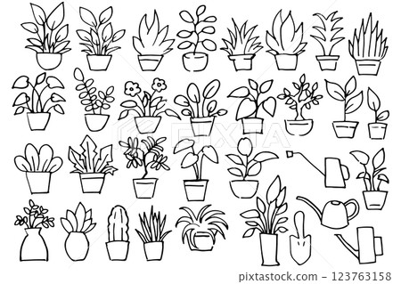 Hand drawn line drawing of houseplant illustration set Vector Hand drawn line drawing of houseplant illustration set Vector 123763158