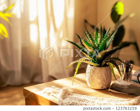 A homemade plant in a clay pot on a wooden table in a cozy sunny room in a minimalist style. A homemade plant in a clay pot on a wooden table in a cozy sunny room in a minimalist style. 123763259