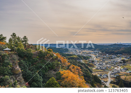 磐田市(靜岡縣)獅子鼻公園的夜景與紅葉 磐田市(靜岡縣)獅子鼻公園的夜景與紅葉 123763405
