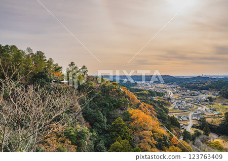磐田市（靜岡縣）獅子鼻公園的夜景與紅葉 123763409
