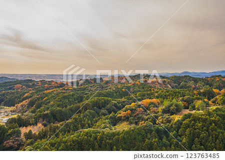 磐田市（靜岡縣）獅子鼻公園的夜景與紅葉 123763485
