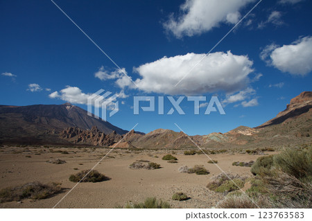 Majestic landscape in El Teide National Park, Canary Islands Majestic landscape in El Teide National Park, Canary Islands 123763583