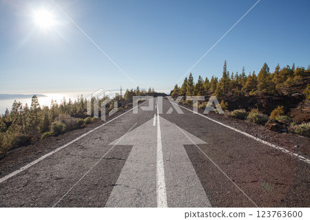 Asphalt road with upward arrows. Growth, development, success concept 123763600